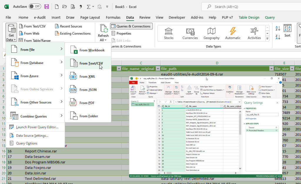 Menampilkan kembali menu Import Textfile yang hilang – e-Auditors ...